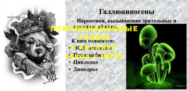 соль ск Верхнеуральск