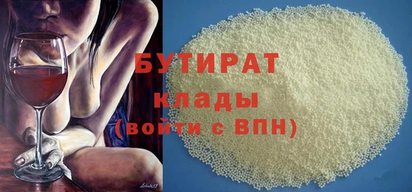 МДПВ Бородино