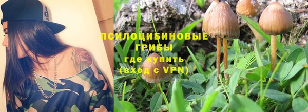 МДПВ Бородино