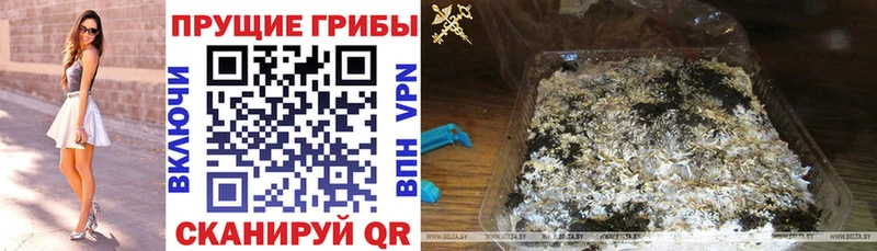 Галлюциногенные грибы GOLDEN TEACHER  Балаково 